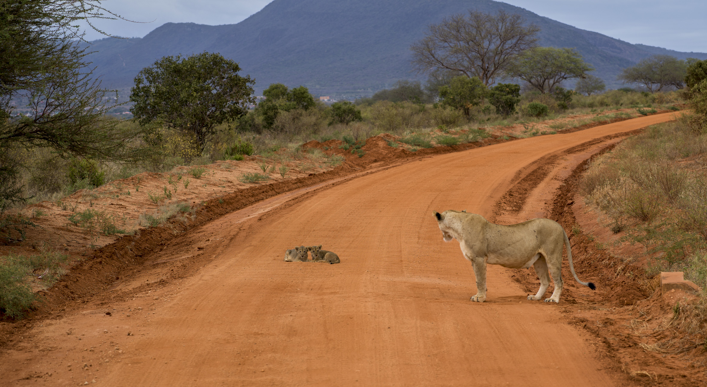 mianti-safaris- (5)